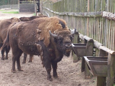 Holiday house Reiher Nr. 18 - Environment photo 19