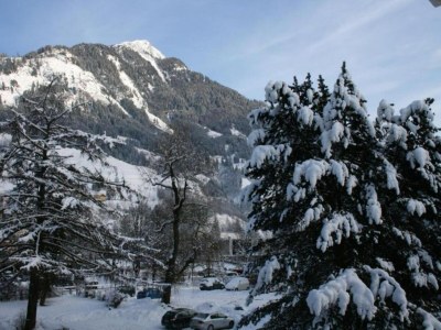 Apartment Apartment in Salzburg near Schlossalmbahn I - Environment photo 28