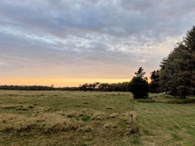 Holiday house 5 star holiday home in Vejers Strand - Outdoor photo 15