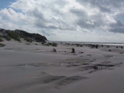 Holiday house 5 star holiday home in Vejers Strand - Outdoor photo 16