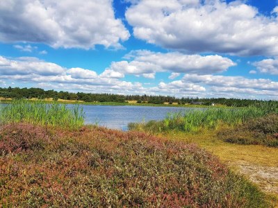 Holiday house 5 star holiday home in Vejers Strand - Outdoor photo 33