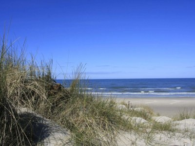 Holiday house 5 star holiday home in Vejers Strand - Outdoor photo 34