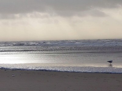 Holiday house 5 star holiday home in Vejers Strand - Outdoor photo 36