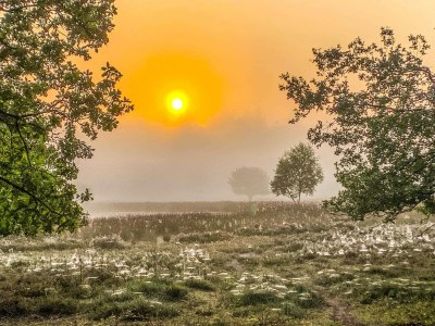 Holiday house Gemütliches Ferienhaus in einer schönen Umgebung. - Environment photo 19