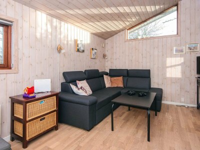Holiday house 4 star holiday home in Tarm-By Traum - Outdoor photo 19