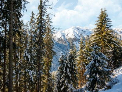 Chalet Almhütte Nase auf 1700m im Zillertal - Outdoor photo 22