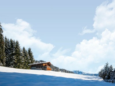 Chalet Almhütte Nase auf 1700m im Zillertal - Outdoor photo 35