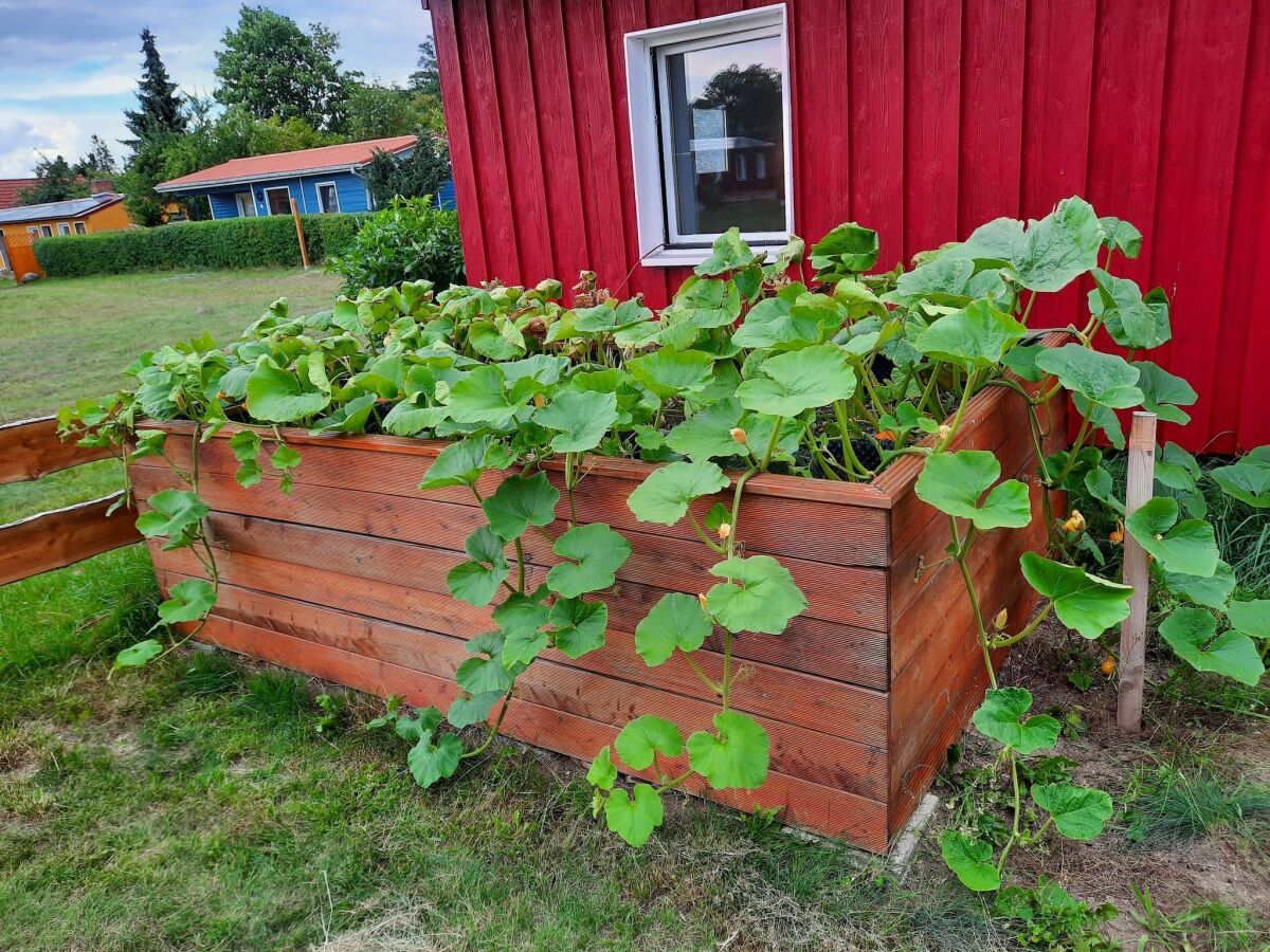 Apartment Ferienwohnung am Oase am Vilzsee - Outdoor photo 4