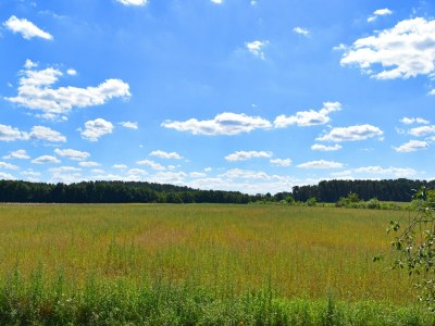 Apartment Charmante Ferienwohnung  in der Oase am Vilzsee - Environment photo 23