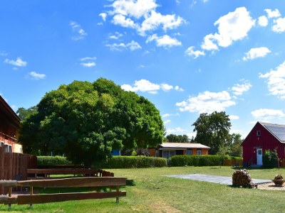 Apartment Charmante Ferienwohnung  in der Oase am Vilzsee - Outdoor photo 25