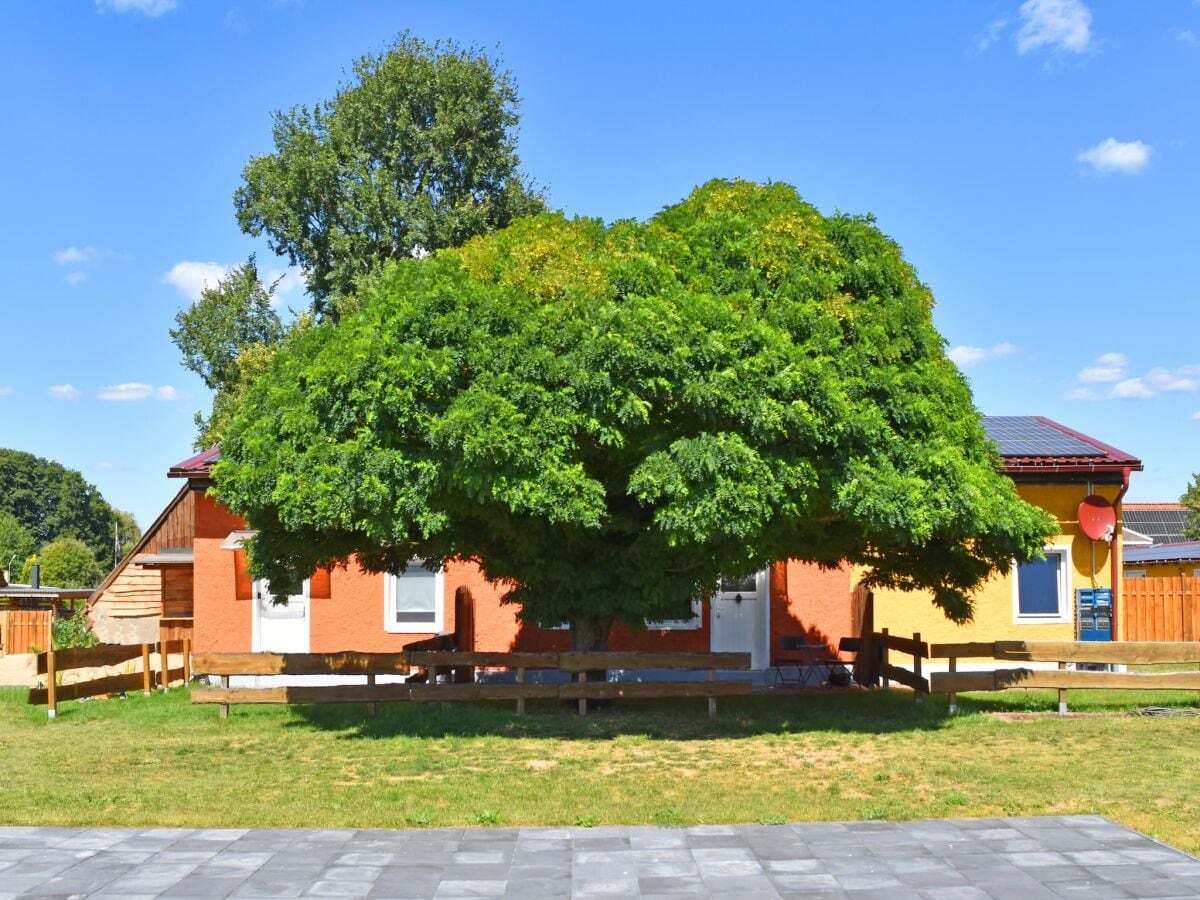 Apartment Einladende Ferienwohnung in der Oase am Vilzsee