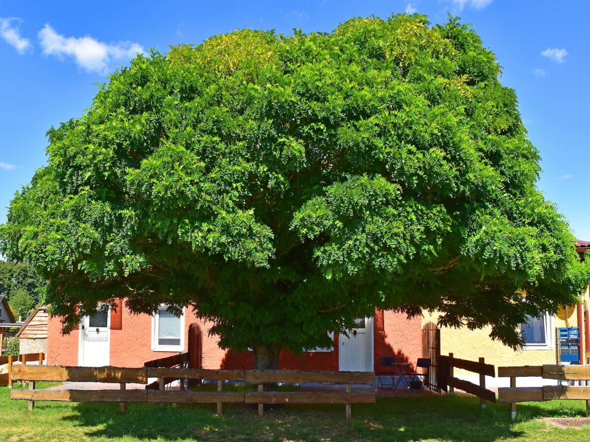 Apartment Einladende Ferienwohnung in der Oase am Vilzsee - Outdoor photo 5
