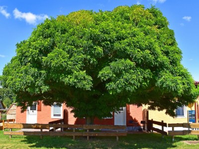 Apartment Einladende Ferienwohnung in der Oase am Vilzsee - Outdoor photo 5