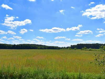 Apartment Einladende Ferienwohnung in der Oase am Vilzsee - Environment photo 30