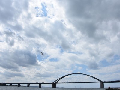 Holiday apartment vacation apartment Mira - Environment photo 28