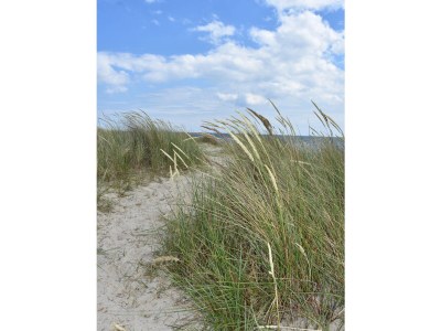 Holiday apartment vacation apartment Mira - Environment photo 31