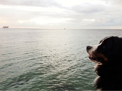 Holiday apartment vacation apartment Mira - Environment photo 33