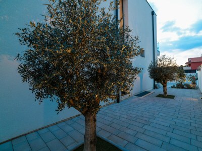 Villa Villa Barbara with heated pool - Outdoor photo 63