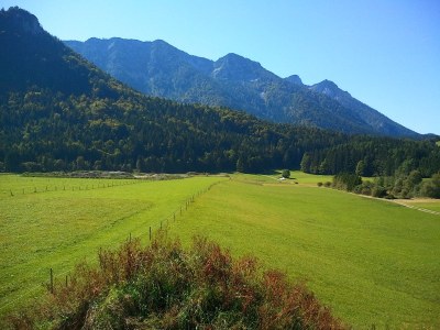 Holiday apartment Walchhofer - Environment photo 18