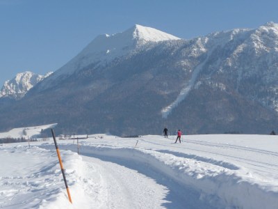 Holiday apartment Walchhofer - Environment photo 21