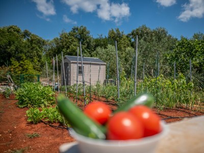 Apartment Apartment Varos 2+1 with shared pool - Features photo 33