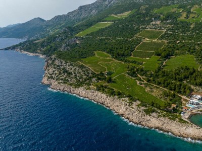 Villa Beachfront villa Luce with seaview and pool - Outdoor photo 31