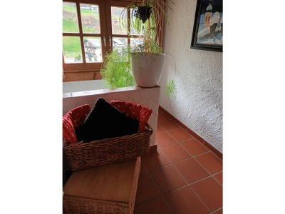 Holiday house Häusl am Hang - Features photo 23