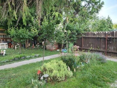 Holiday apartment Taca 4 - Outdoor photo 4