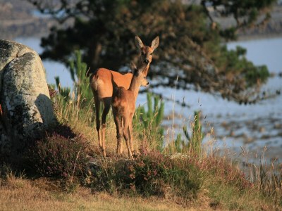 Holiday house Großes Haus in Strandnähe für 12 - Environment photo 25