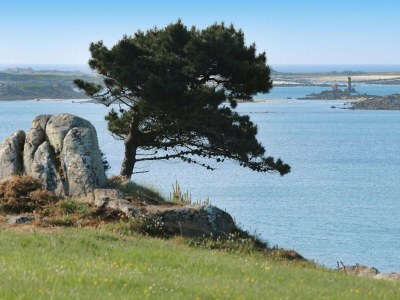 Holiday house Großes Haus in Strandnähe für 12 - Outdoor photo 31