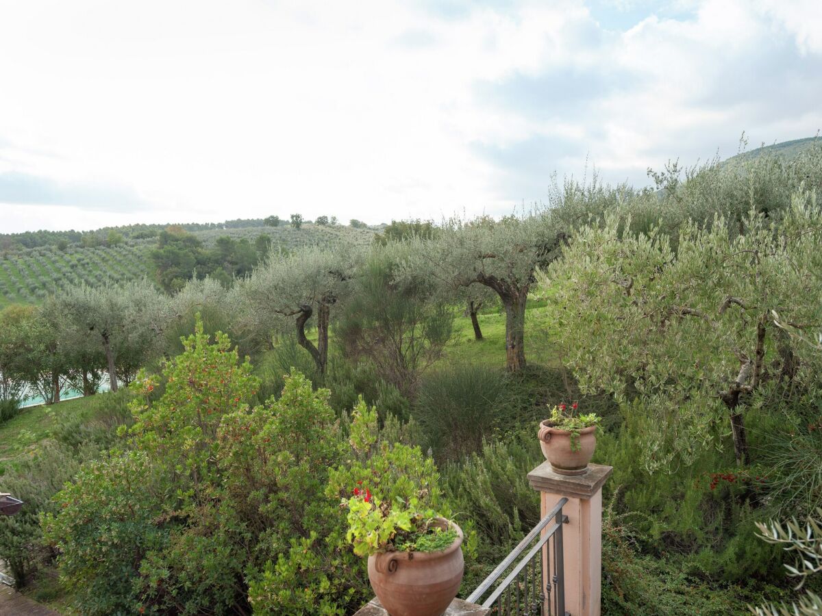 Farmhouse Farmhouse in Giano dell'Umbria - Outdoor photo 5