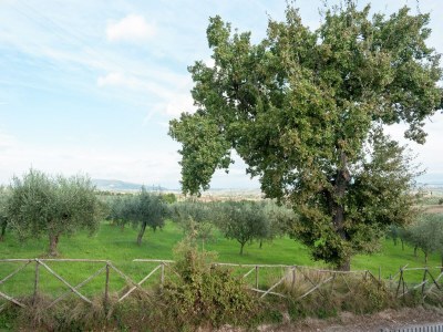 Farmhouse Farmhouse in Giano dell'Umbria - Outdoor photo 7