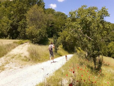 Farmhouse Farmhouse in Giano dell'Umbria - Environment photo 18