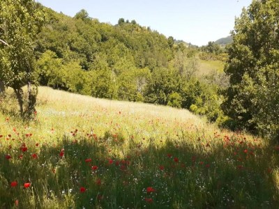 Farmhouse Farmhouse in Giano dell'Umbria - Environment photo 20