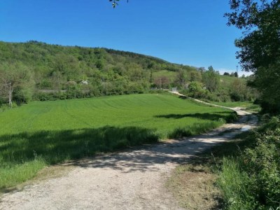 Farmhouse Farmhouse in Giano dell'Umbria - Environment photo 27