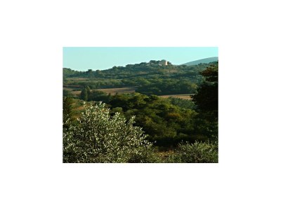 Farmhouse Farmhouse in Giano dell'Umbria - Environment photo 28