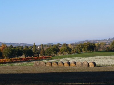 Farmhouse Farmhouse in Giano dell'Umbria - Environment photo 33