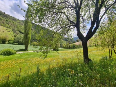 Farmhouse Farmhouse in Giano dell'Umbria - Environment photo 35