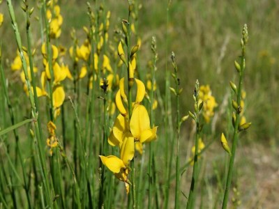 Farmhouse Farmhouse in Giano dell'Umbria - Outdoor photo 38