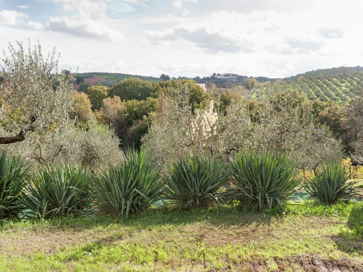 Holiday house Apartment near Montefalco Winery - Outdoor photo 3
