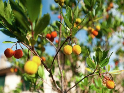 Holiday house Wohnung in Umbrien nahe Montefalco Weingut - Outdoor photo 8