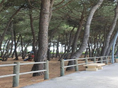 Apartment Komfortabler Aufenthalt an der Küste - Environment photo 29