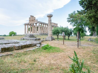 Villa Villa Near Paestum Beach - Environment photo 36