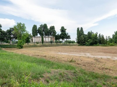 Villa Villa with Pool in Paestum - Environment photo 36