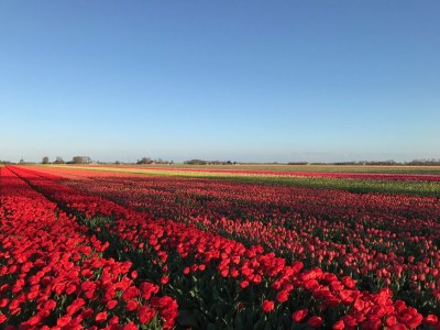 Holiday house Strandperle, Strandslag 26 - Environment photo 28