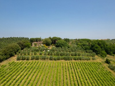 Holiday house Casa Ceneruzzi - Environment photo 33