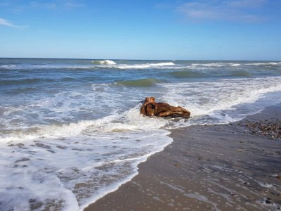 Holiday house 4 Sterne Ferienhaus in Løkken - Outdoor photo 13
