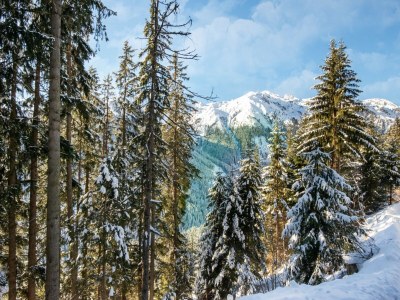 Apartment Appartement Moiklerhof - Environment photo 31