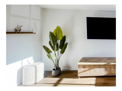 Holiday apartment Ferienwohnung 904 - Outdoor photo 8