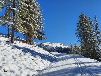 Apartment Appartement 1976 - Outdoor photo 12